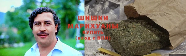 прущие грибы Новодвинск
