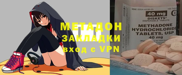 прущие грибы Новодвинск