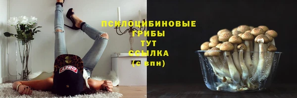 мет Абинск