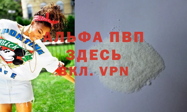 прущие грибы Новодвинск