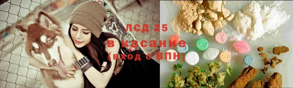 стафф Абаза