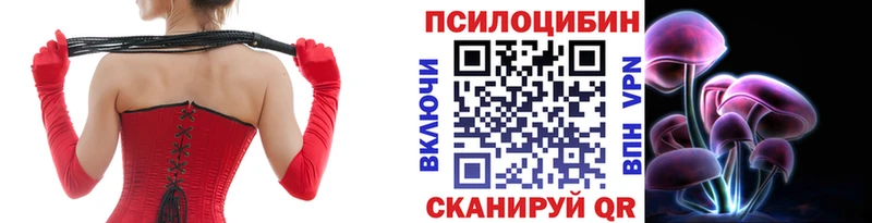 Галлюциногенные грибы Psilocybine cubensis  кракен зеркало  Новосибирск  где купить  